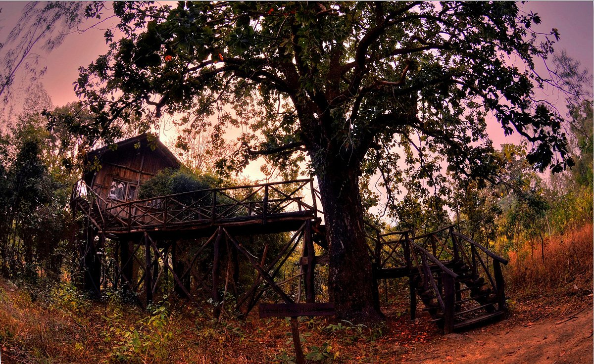 Pugdundee Safaris Tree House Hideaway, hotel in Bandhavgarh National Park