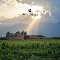 Finca Adelma eligió el Valle de Tupungato, en la provincia de Mendoza
como su Genius Loci, ese carácter protectivo que tiene cada lugar,
para conseguir las mejores uvas de este Gran Malbec Argentino.