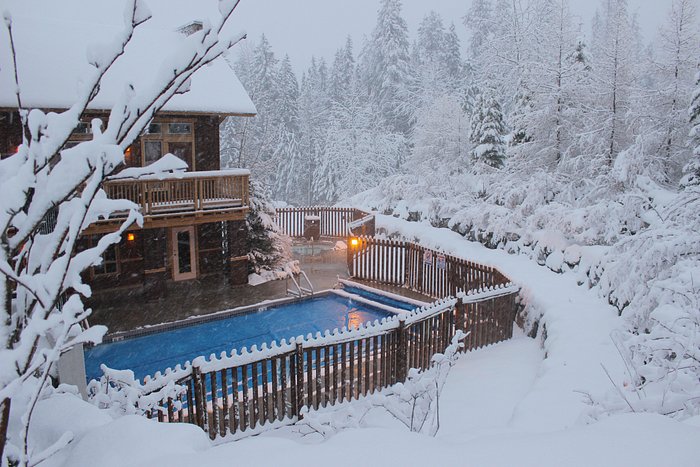 timberline lodge resort group