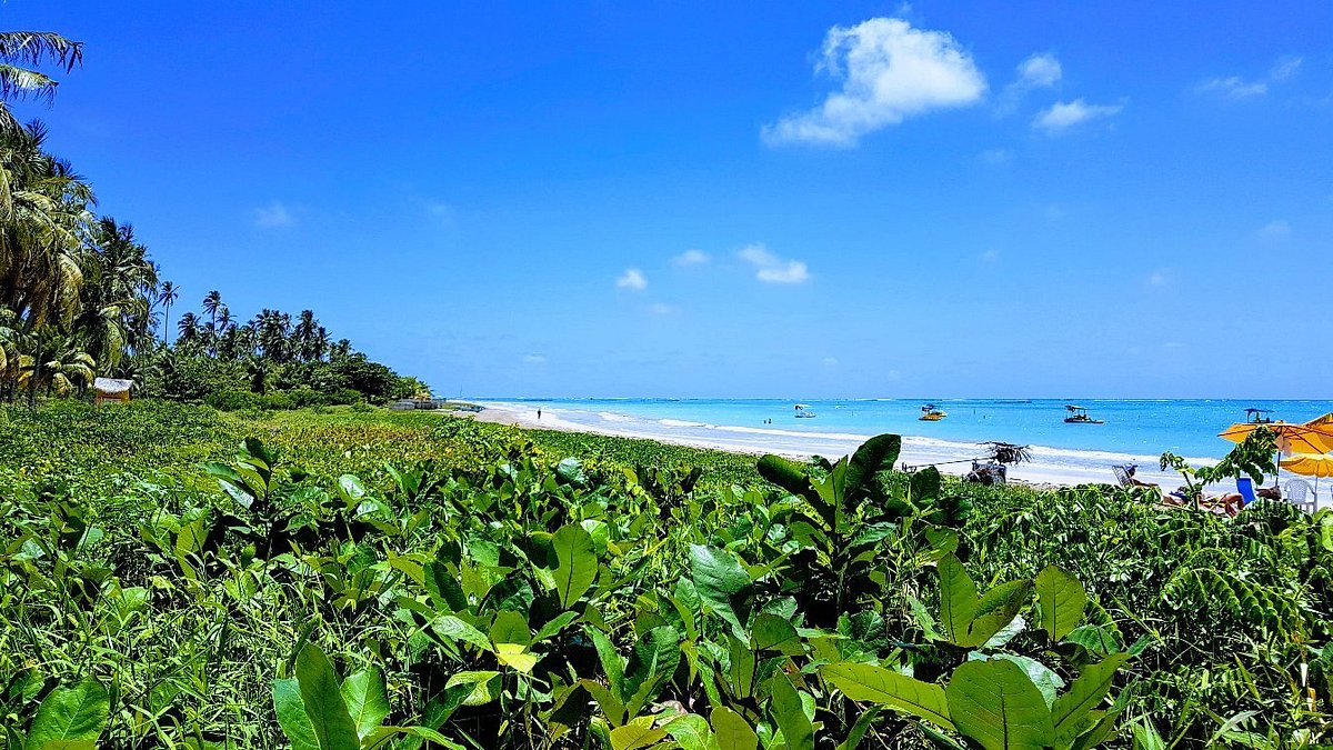 praia de são miguel