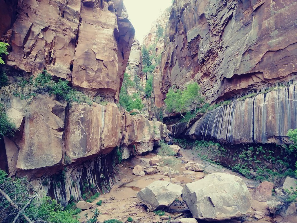 Water canyon 2024 hike zion