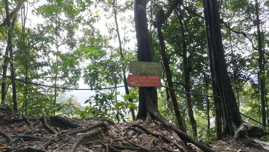 The F7 checkpoint, where the summit trail meets the Bukit Putri trail.