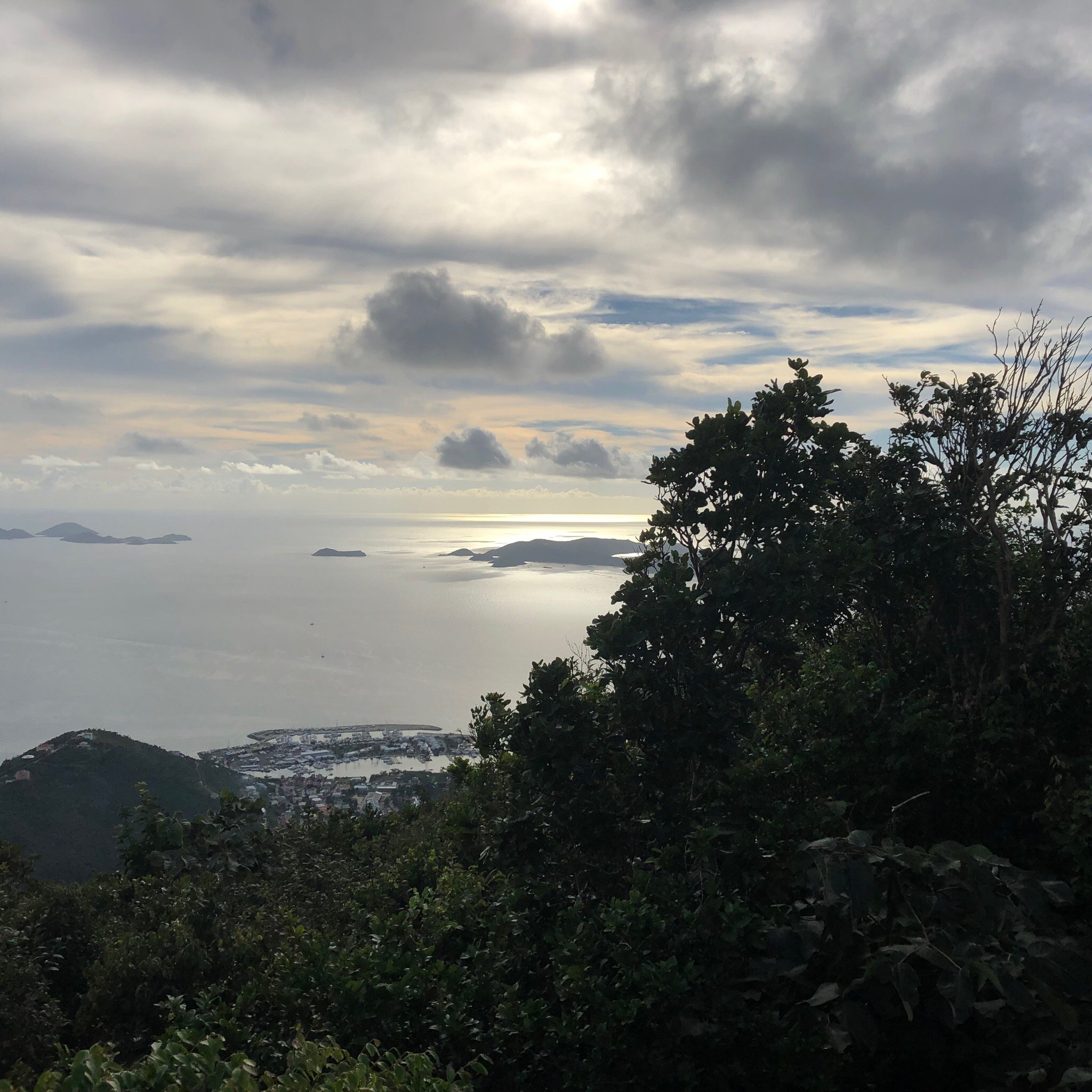 SAGE MOUNTAIN NATIONAL PARK (Tortola): Ce Qu'il Faut Savoir Pour Votre ...