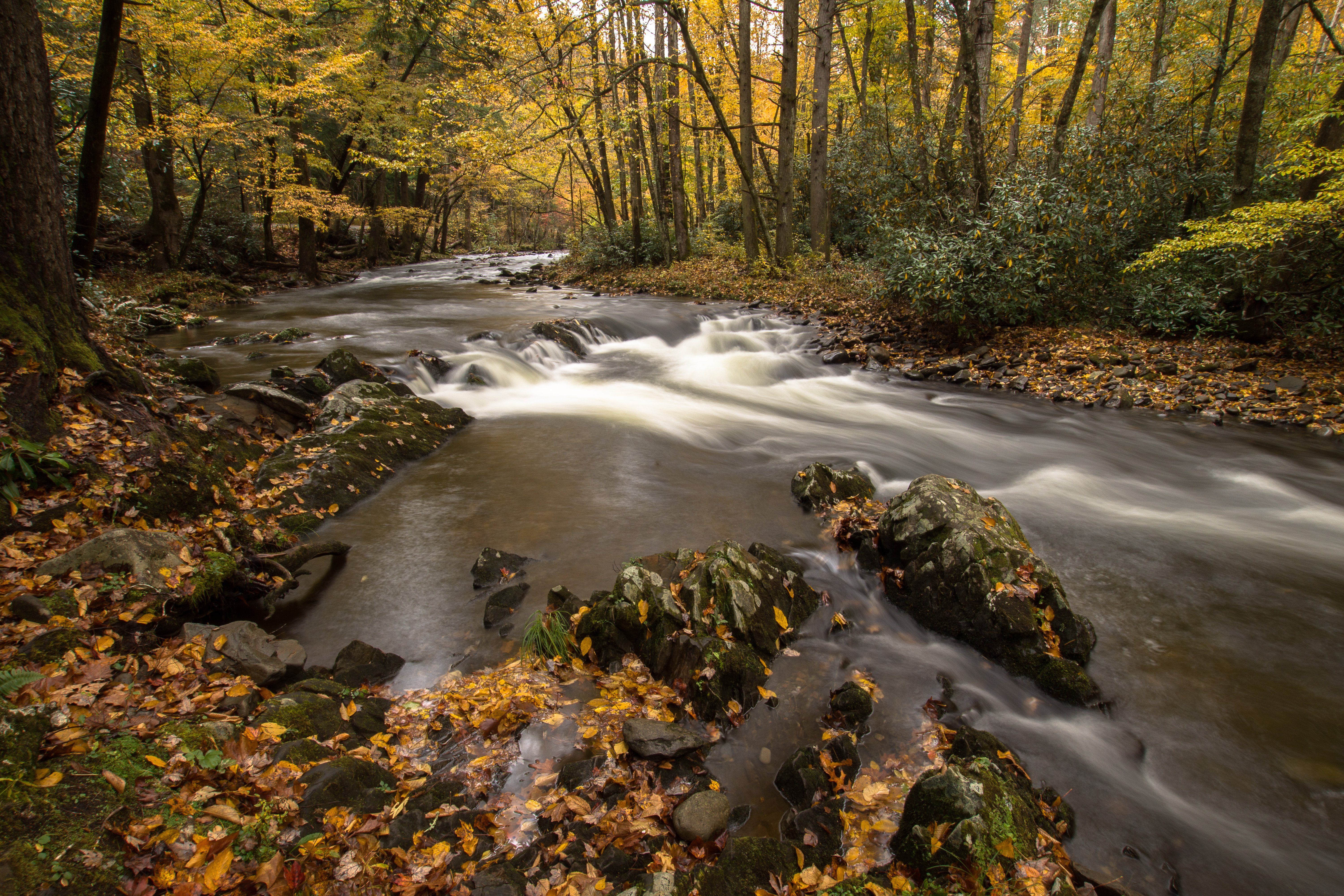 Little river trail great hotsell smoky mountains