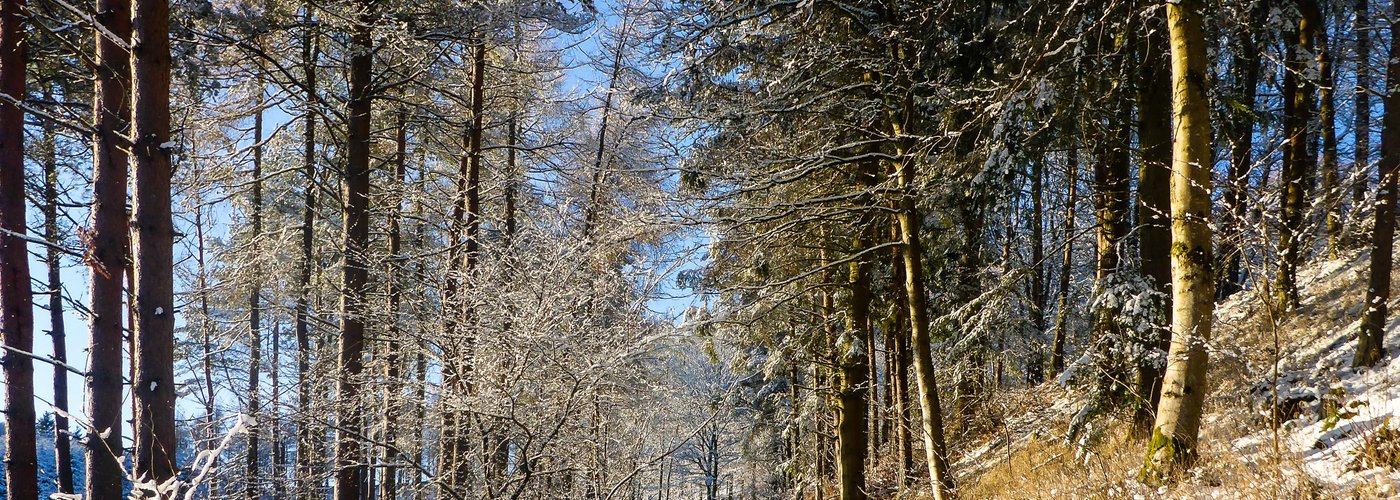 Corby Linn, Scottish Borders