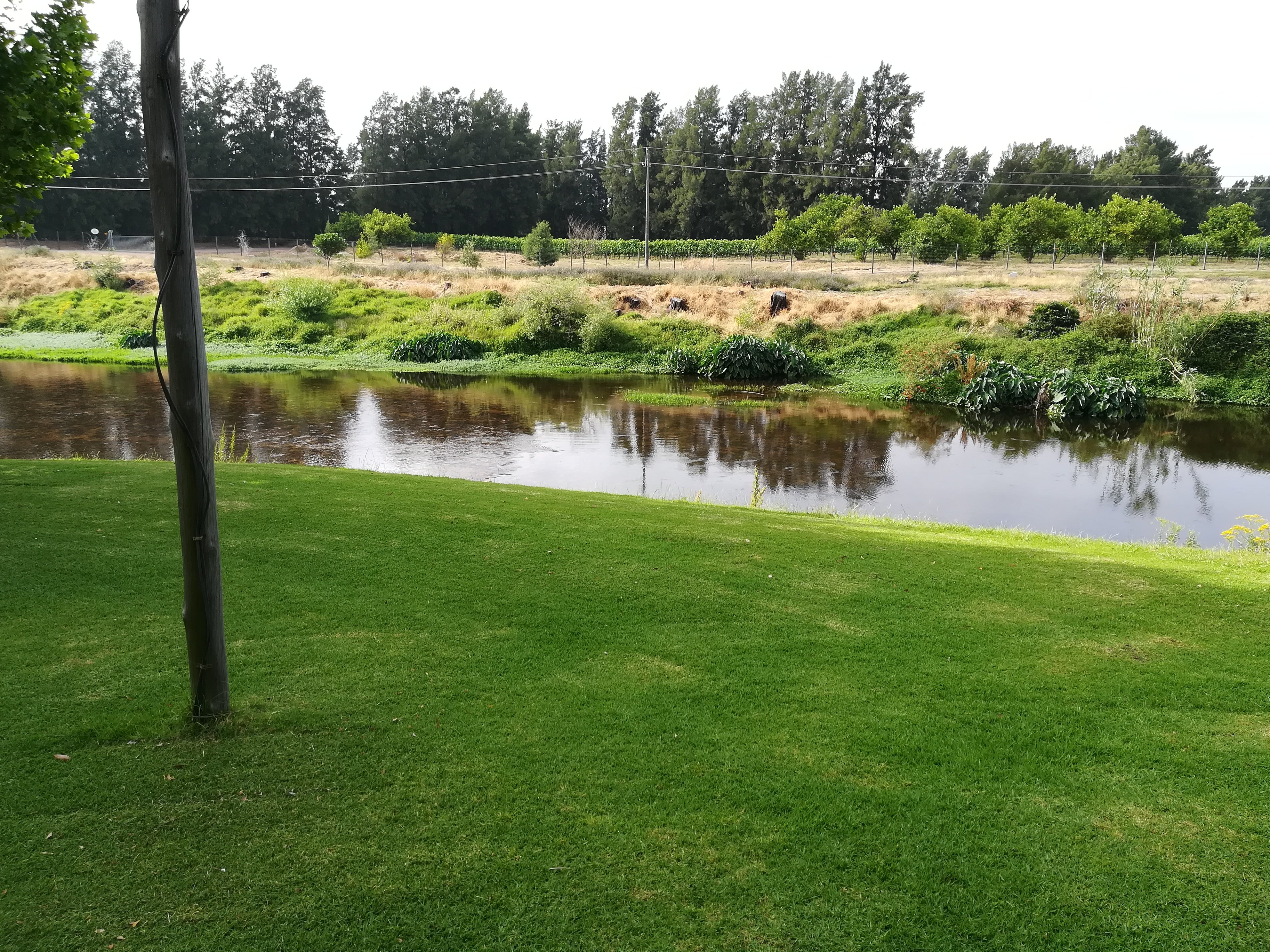 BERG RIVER RESORT - Updated 2024 Campground Reviews (Paarl, South Africa)