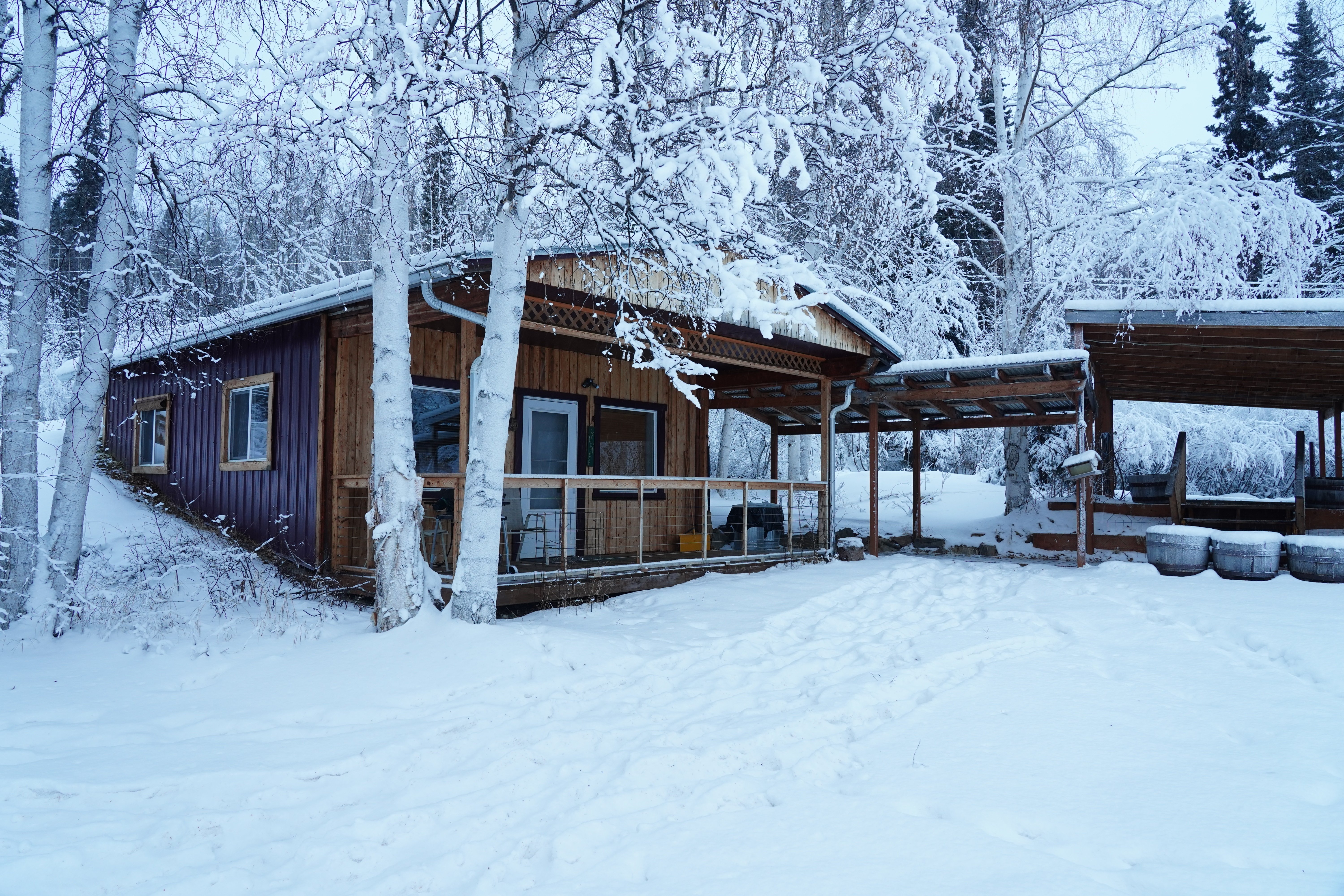 ARCTIC ROOTS FARM B&B - Reviews (Fairbanks, Alaska)