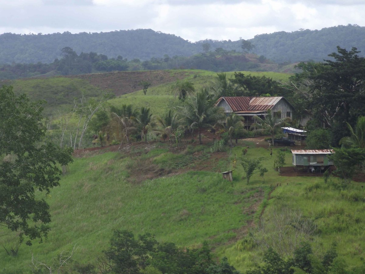 Ecotourism Melanesia - All You Need to Know BEFORE You Go (2025)