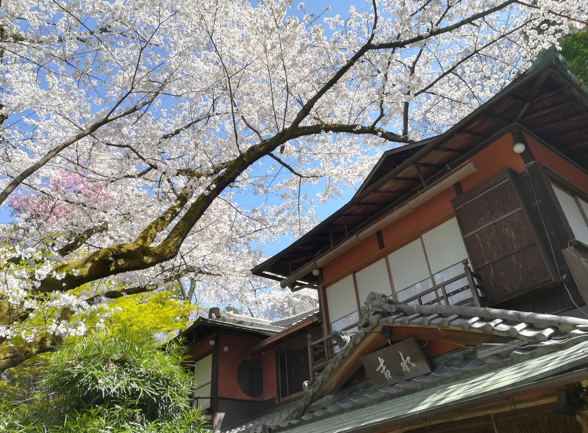 Japanese Inn YOSHIMIZU by Google