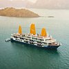 Sealife Legend Cruises