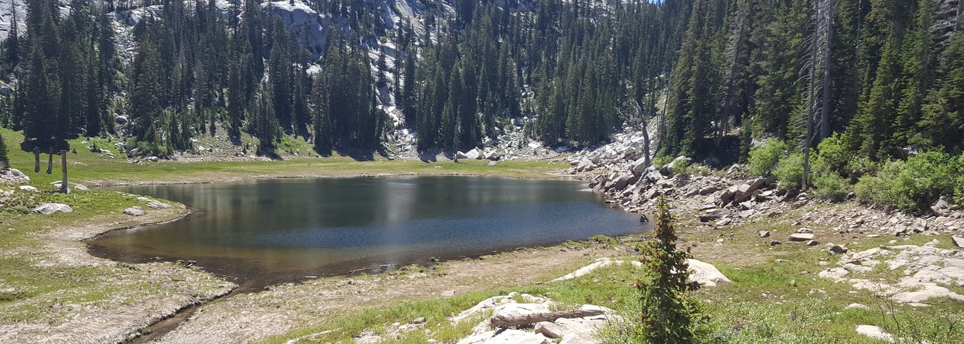 The upper reservoir
