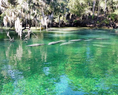 THE 10 BEST Florida State Parks (with Photos) - Tripadvisor