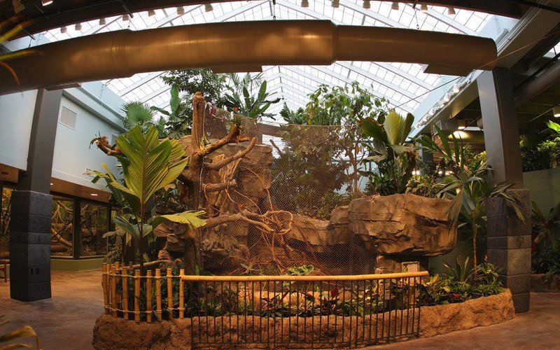 Tropics