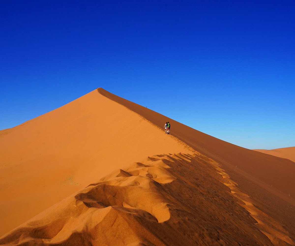 Desert 10. +Дюна Намибия большой папочка. Dune Daddy.