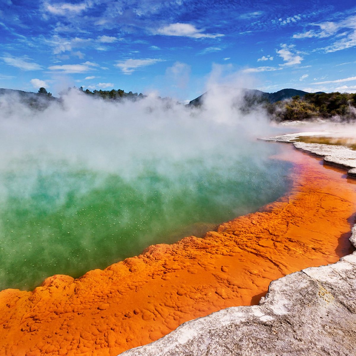 wai-o-tapu-thermal-wonderland-rotorua-wai-o-tapu-thermal-wonderland