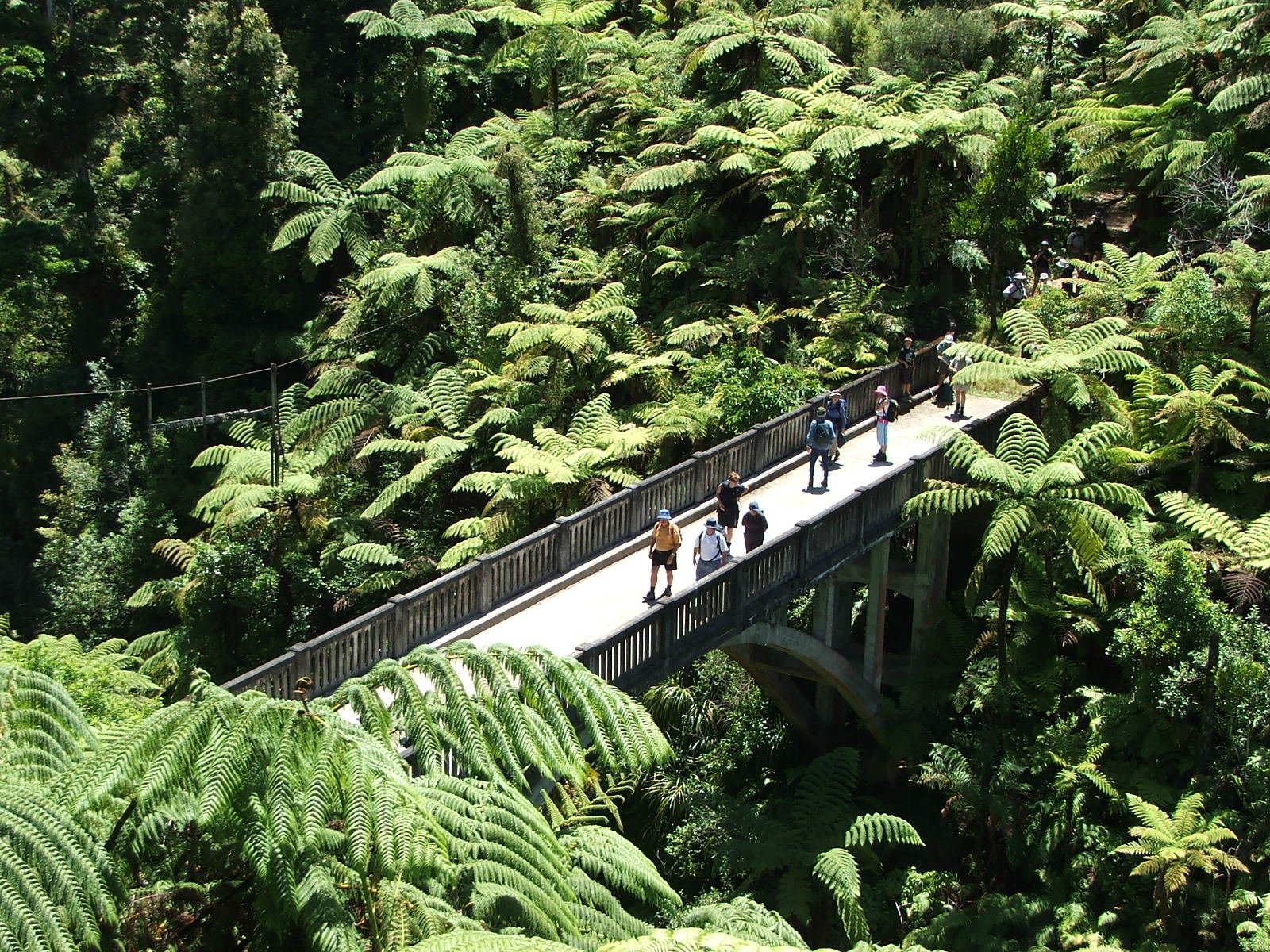 Bridge to Nowhere (Whanganui) - All You Need to Know BEFORE You Go