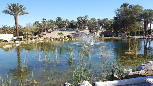 Turismo en Indio 2020 - Viajes a Indio, California - opiniones