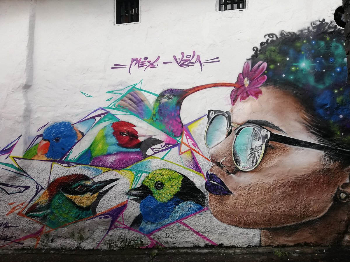 Moedig aan Buitenlander voordeel Graffiti Tour (Bogota) - All You Need to Know BEFORE You Go