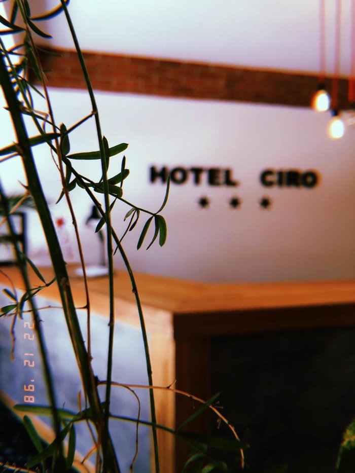Imagen 9 de Hotel Ciro