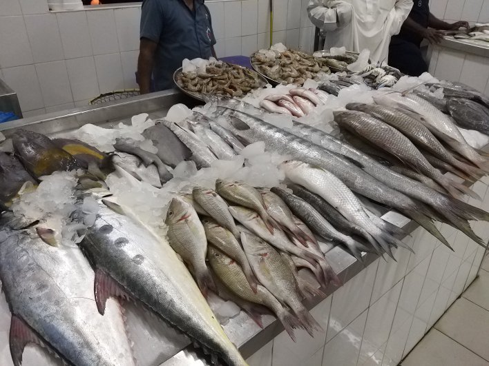Ajman Fishmarket All You Need to Know BEFORE You Go