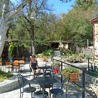 The cafe garden