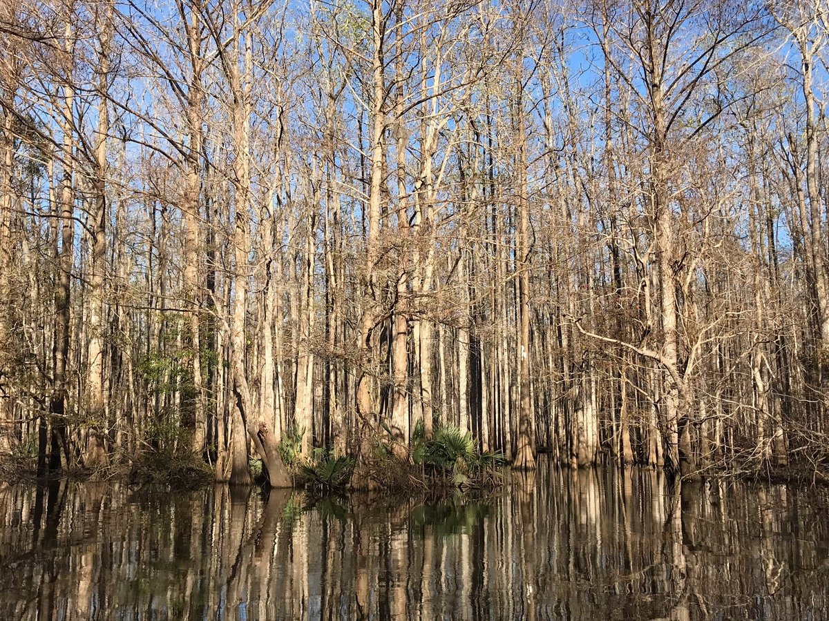 Backwater Tours (Santa Rosa Beach) - All You Need to Know BEFORE You Go