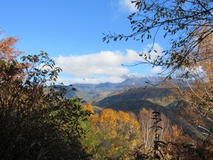 旅行者の写真