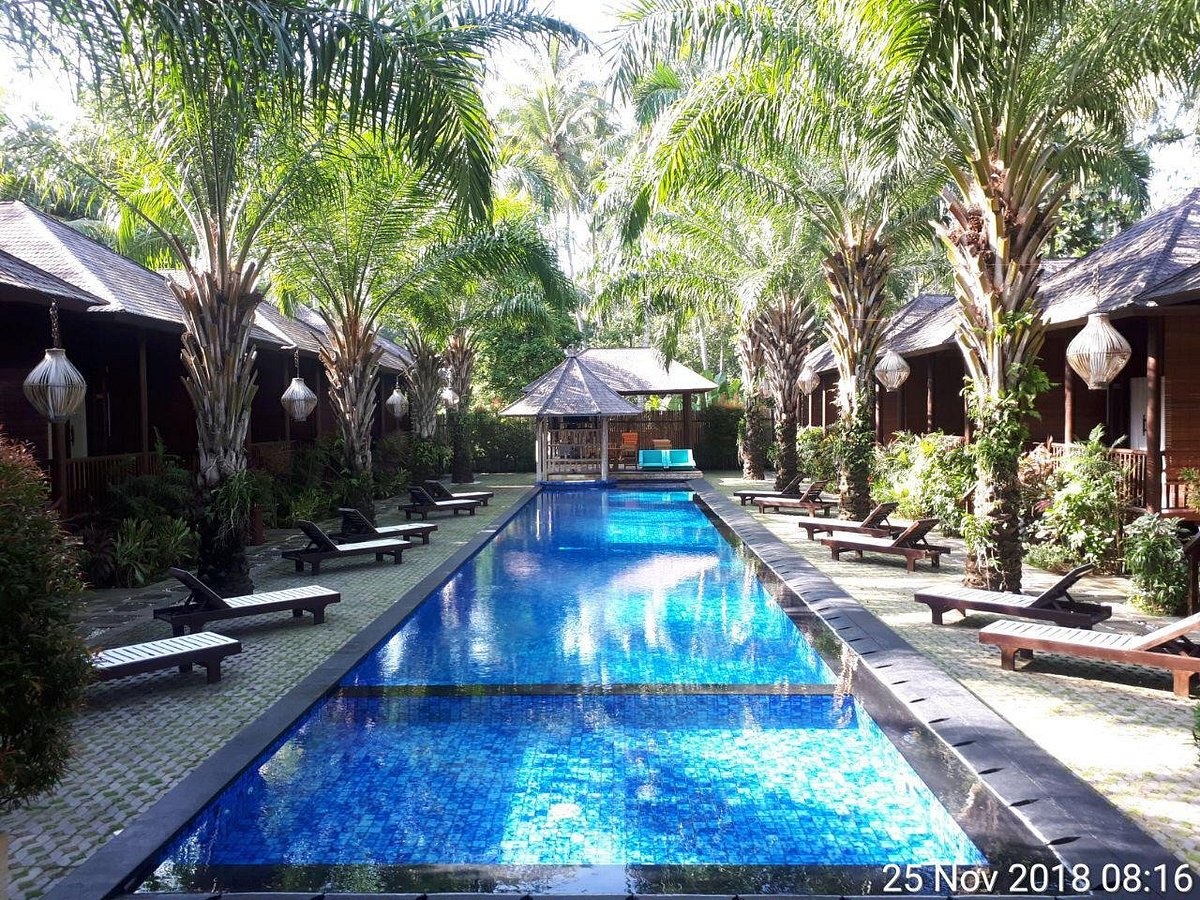 Foto E Recensioni Della Piscina Dellcoconut Boutique Resort Tripadvisor