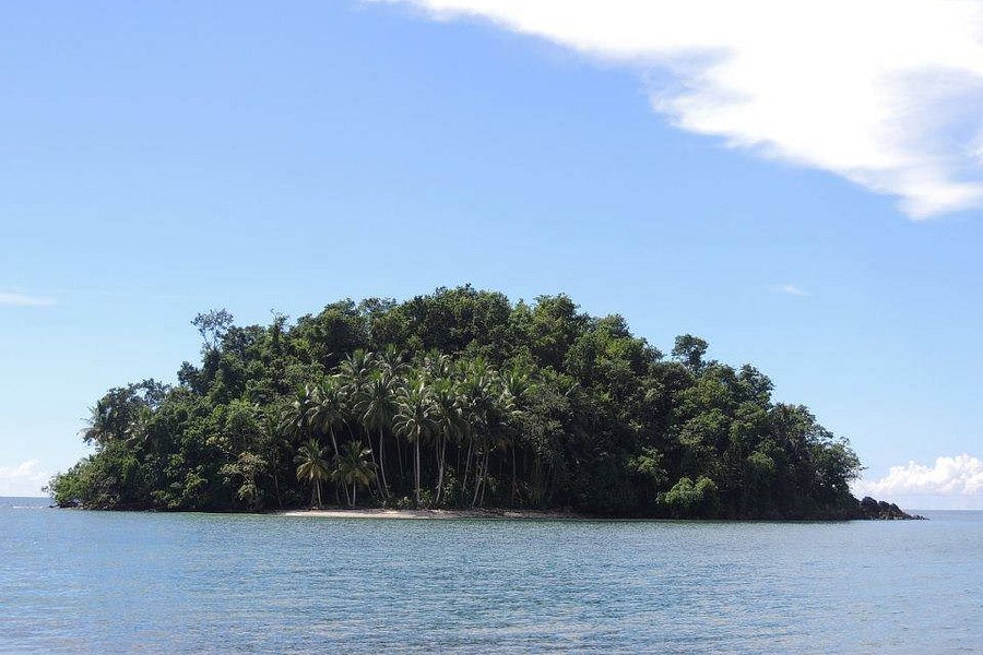 Alidama Island image