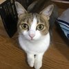 の み
