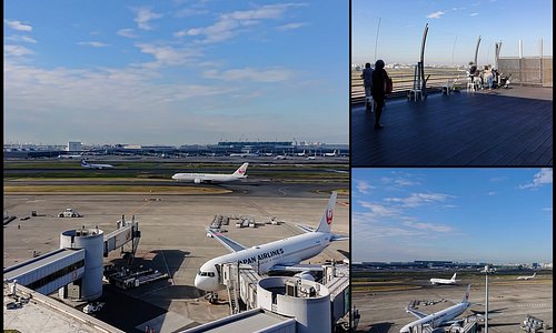 21年日本大田区的旅游景点 旅游指南 行程 Tripadvisor