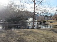 The Duck Pond - University of New Mexico Tote Bag