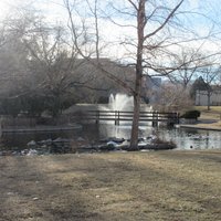 Duck Pond at UNM - All You Need to Know BEFORE You Go (2024)