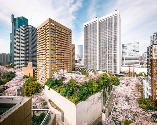 21年 赤坂で絶対外さないおすすめ観光スポットトップ10 定番から穴場まで トリップアドバイザー