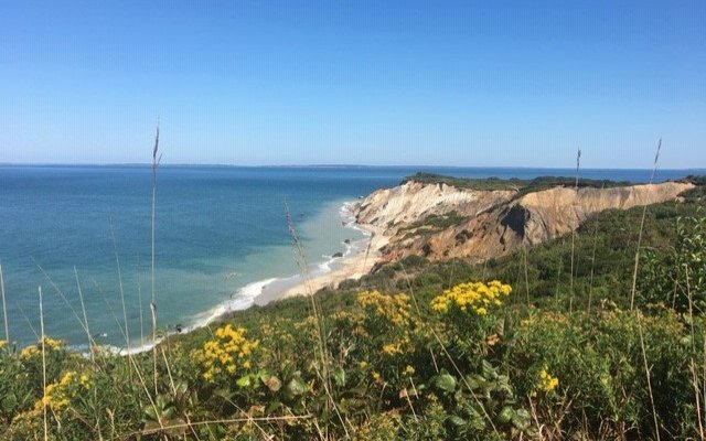 View from the Aquinnah Cliffs' Overlook