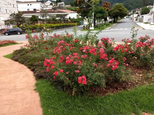 Xadrez Gigante – Foto de Xadrez Gigante Recebe Melhorias, Poços de Caldas -  Tripadvisor