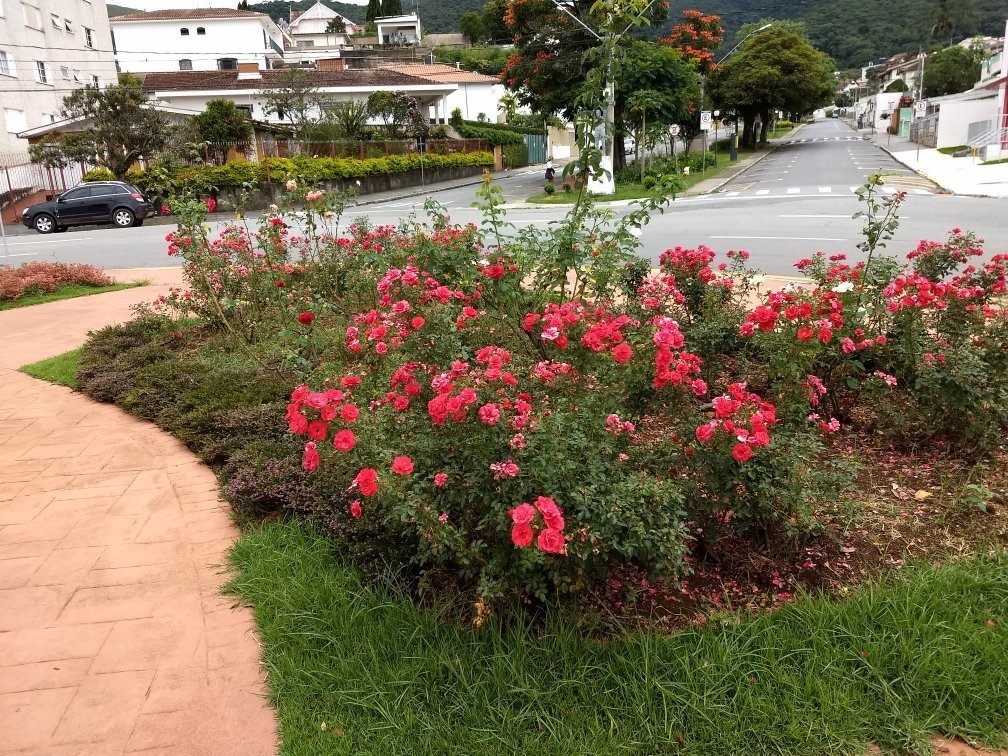 Cartão Postal Poços de Caldas, Fonte Luminosa, Radio Fo