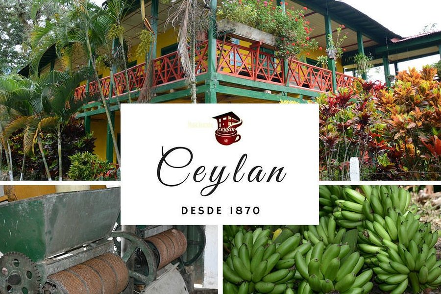 Cafe Hacienda Ceylan image