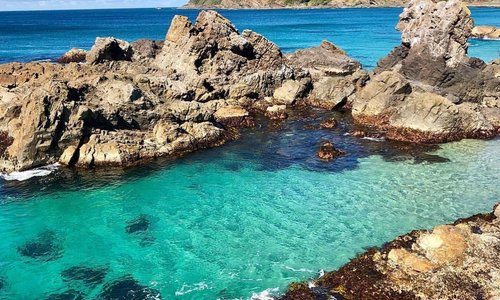 Our Most Like Instagram Posts of 2018 - No.9️⃣ Burgess Beach in Forster is famous for its clear turquoise waters and stunning rock formations. A walk amongst the rocks at low tide can be rewarded with the discovery of hidden rock pools like the one pictured. 
 Burgess Beach is located along Burgess Road in Forster.
 #barringtoncoast