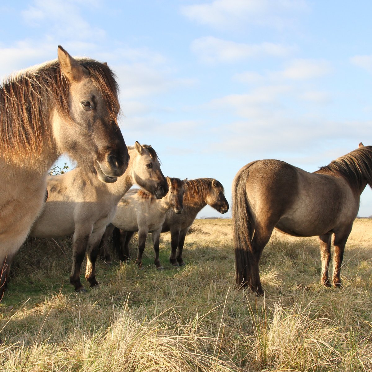 Lentevreugd (Wassenaar) - All You Need to Know BEFORE You Go