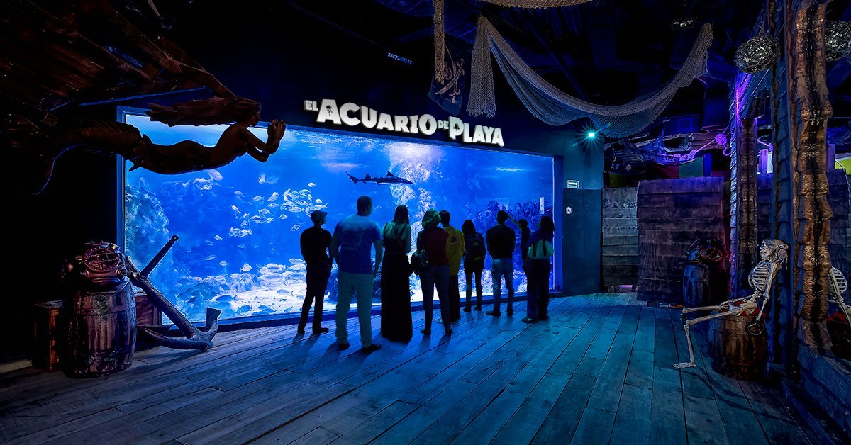 aquarium beach playa del carmen