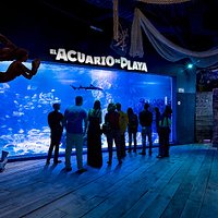 ¡Conoce el hermoso Acuario de Playa!