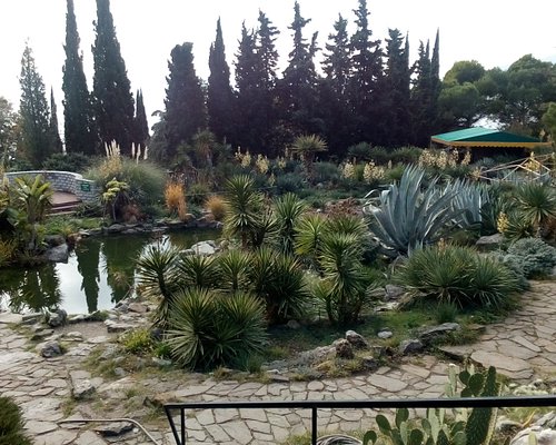 Фруктовые сады Крыма: подборка картинок