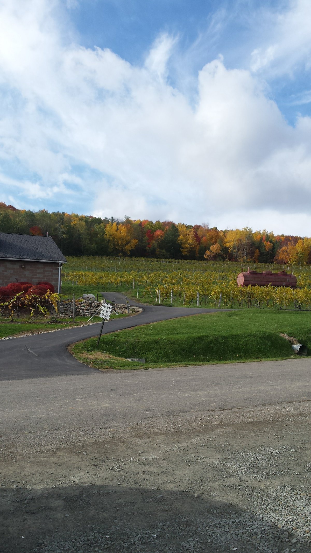 THE BEST Finger Lakes Wine Country Exotic Resorts 2025 (Prices) Tripadvisor