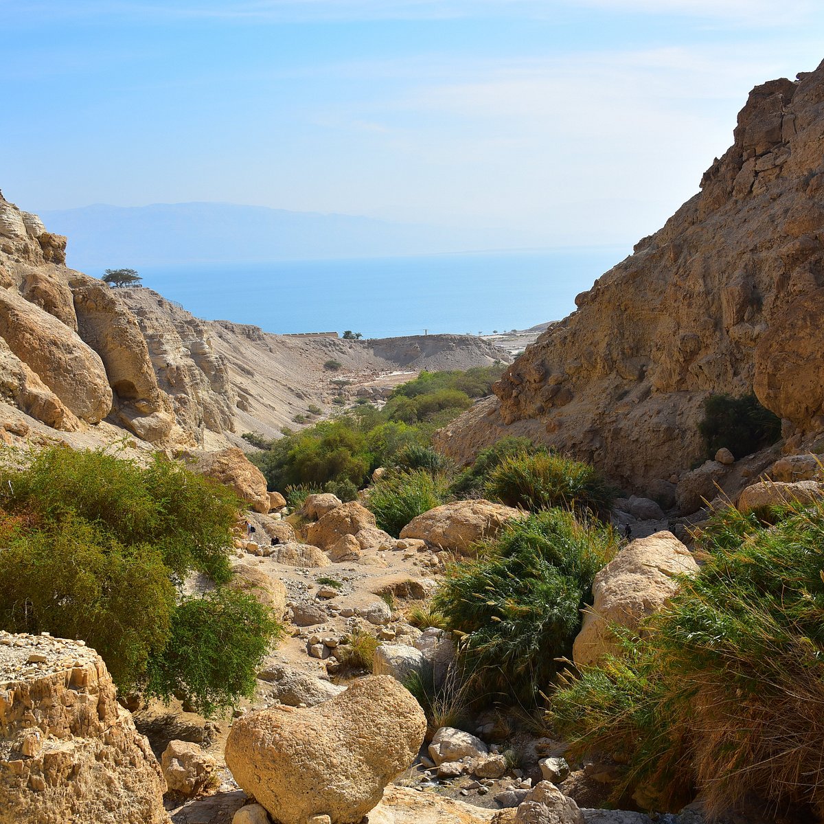 En Gedi Nature Reserve (Dead Sea Region) - 2022 You Need to Know BEFORE You (with Photos) - Tripadvisor