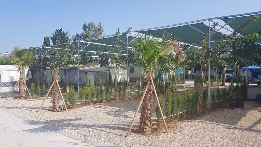 PARCELA DE CAMPING