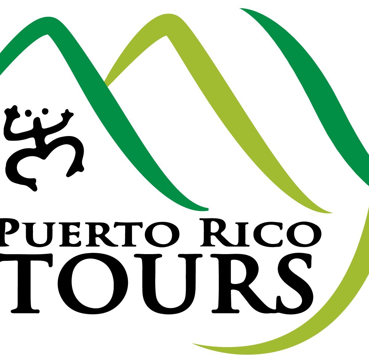 My Puerto Rico Tours - All You Need to Know BEFORE You Go (2024)