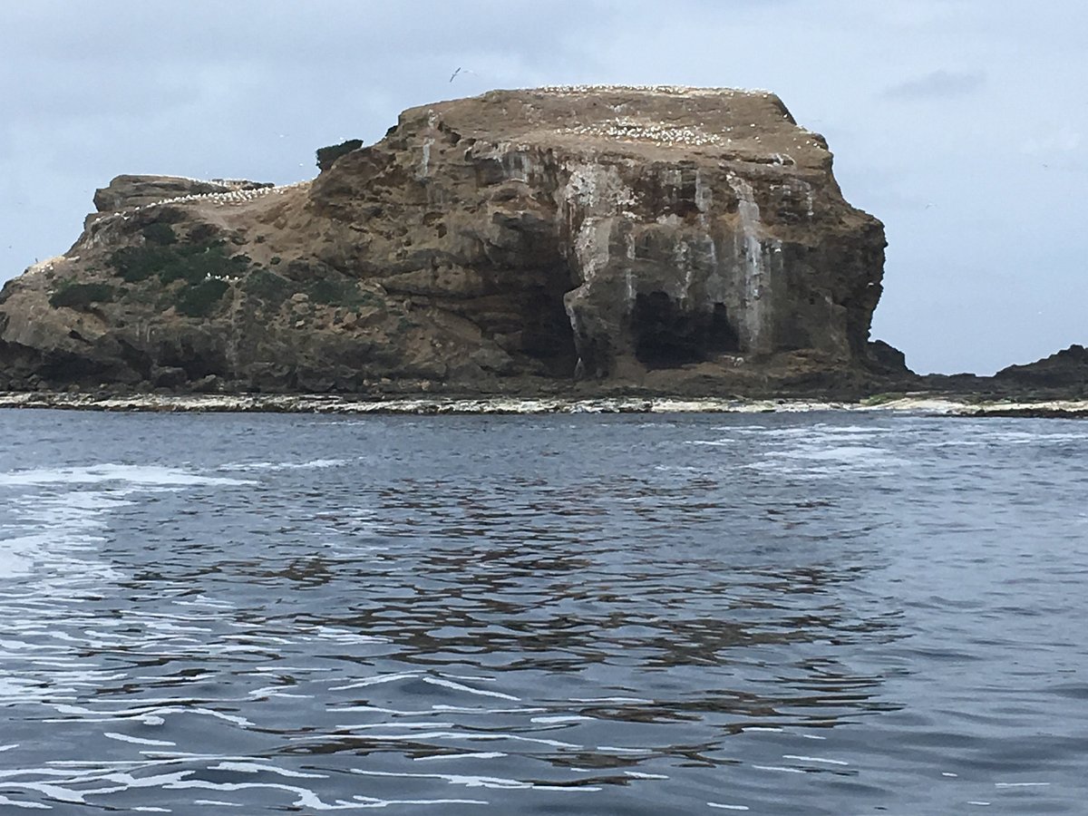 portland harbor tours