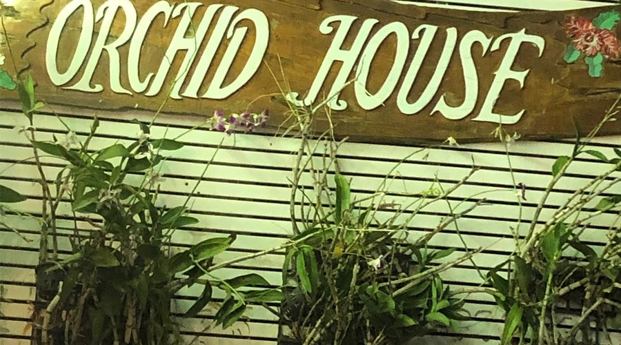 Orchid Café