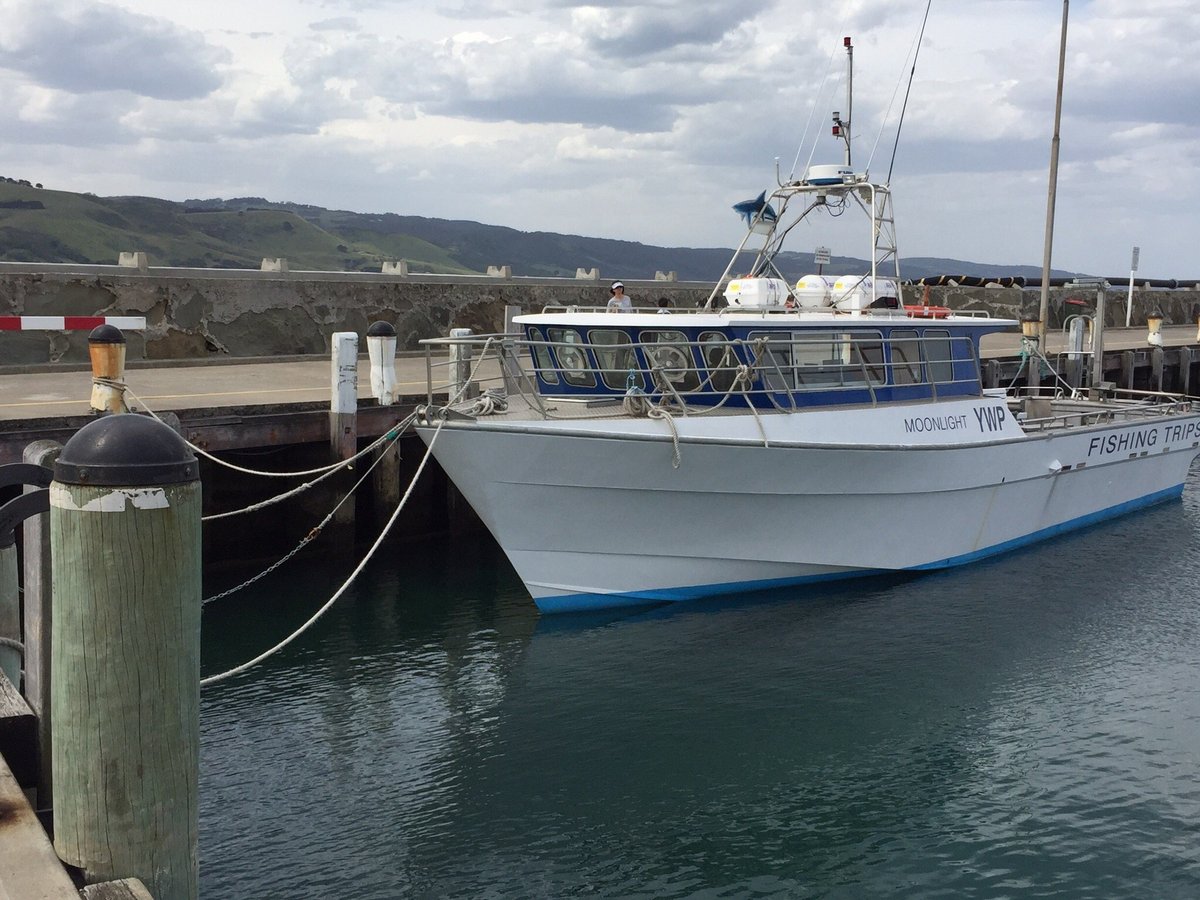 APOLLO BAY FISHING & ADVENTURE TOURS - All You Need to Know BEFORE You Go